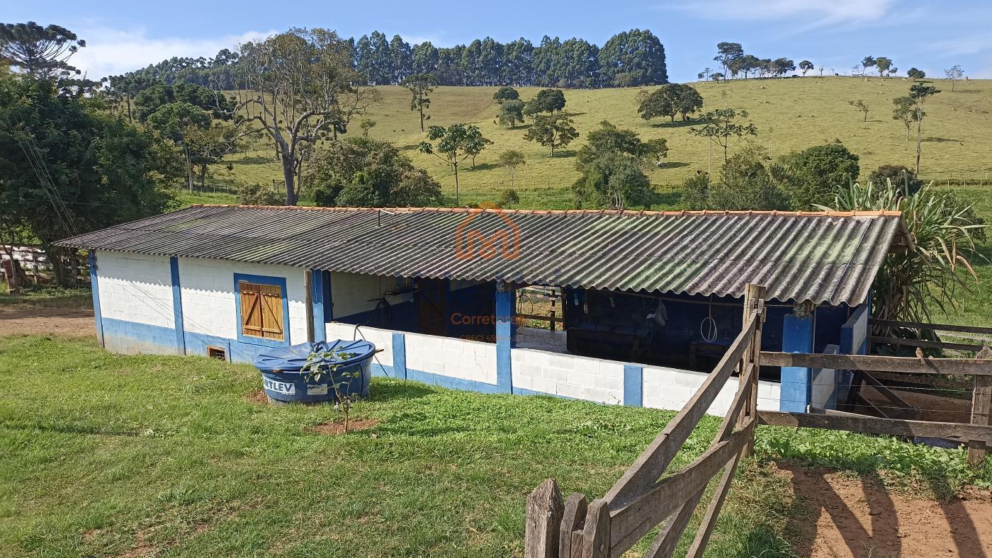 Fazenda à venda com 9 quartos, 72000m² - Foto 22