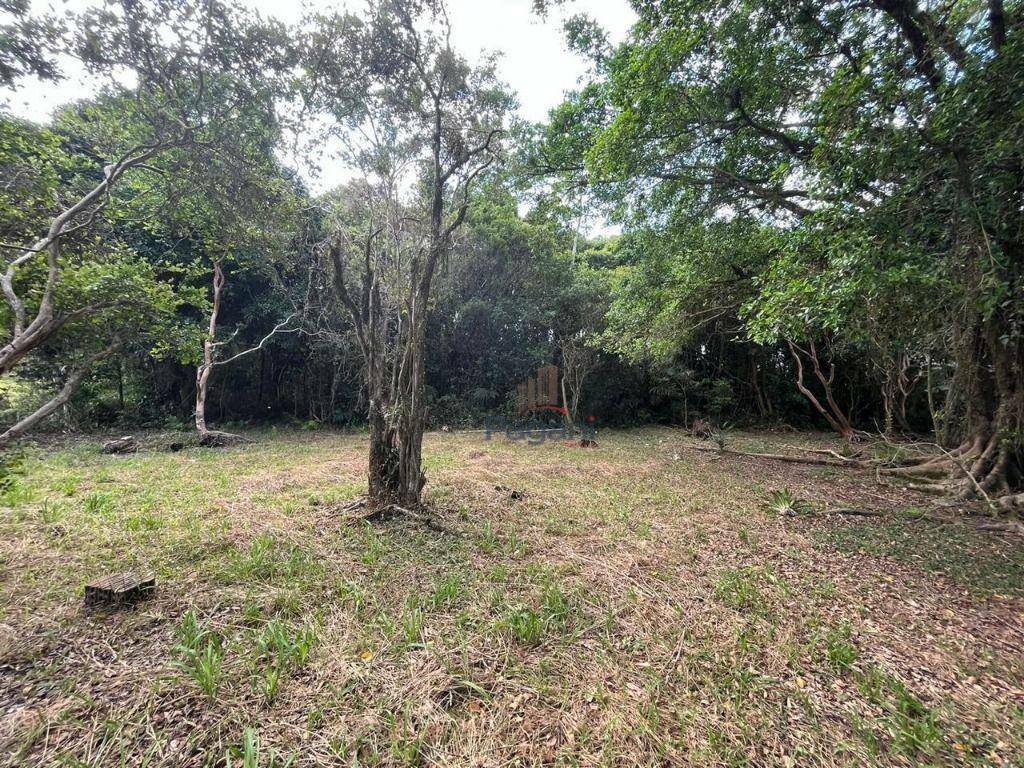 Sítio, 2 quartos, 2 hectares - Foto 10