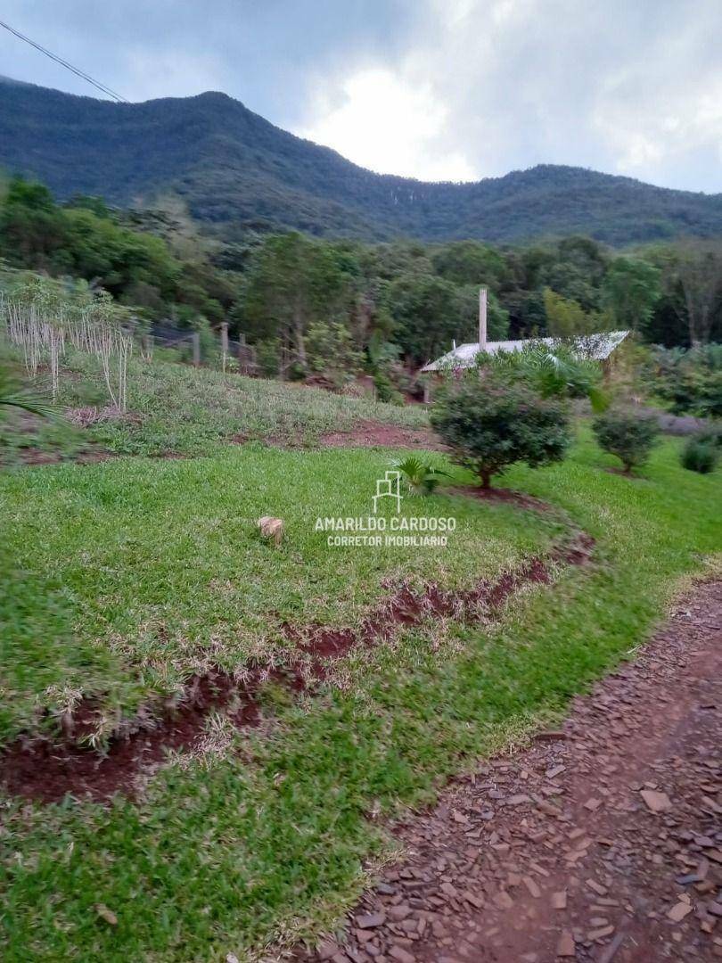 Chácara à venda com 3 quartos, 25000M2 - Foto 9