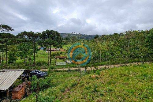 Chácara, 2 hectares - Foto 22