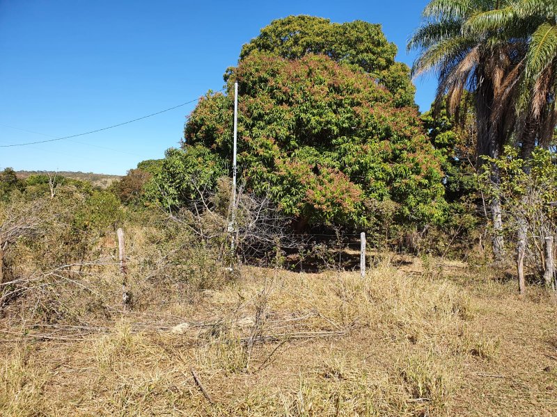 Fazenda à venda, 1613m² - Foto 7