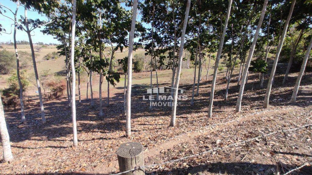 Sítio, 9 quartos, 2 hectares - Foto 53