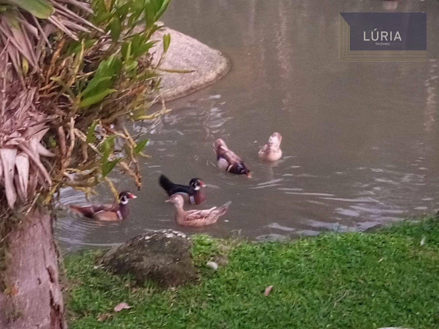 Chácara à venda com 2 quartos, 1800M2 - Foto 26