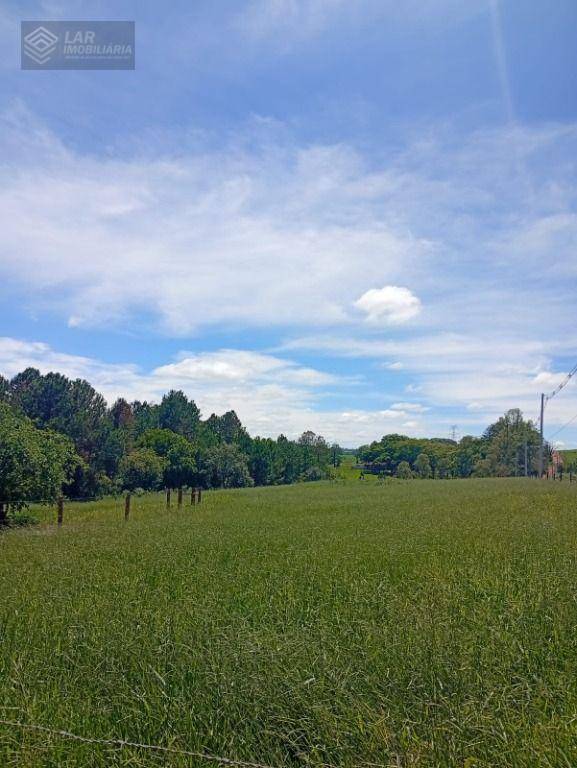 Terreno, 4 hectares - Foto 6