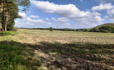 Fazenda à venda, 106000m² - Foto 7