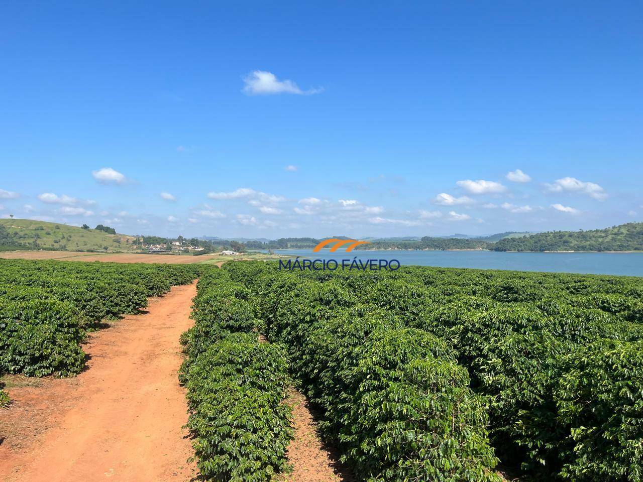Fazenda à venda, 970000M2 - Foto 4