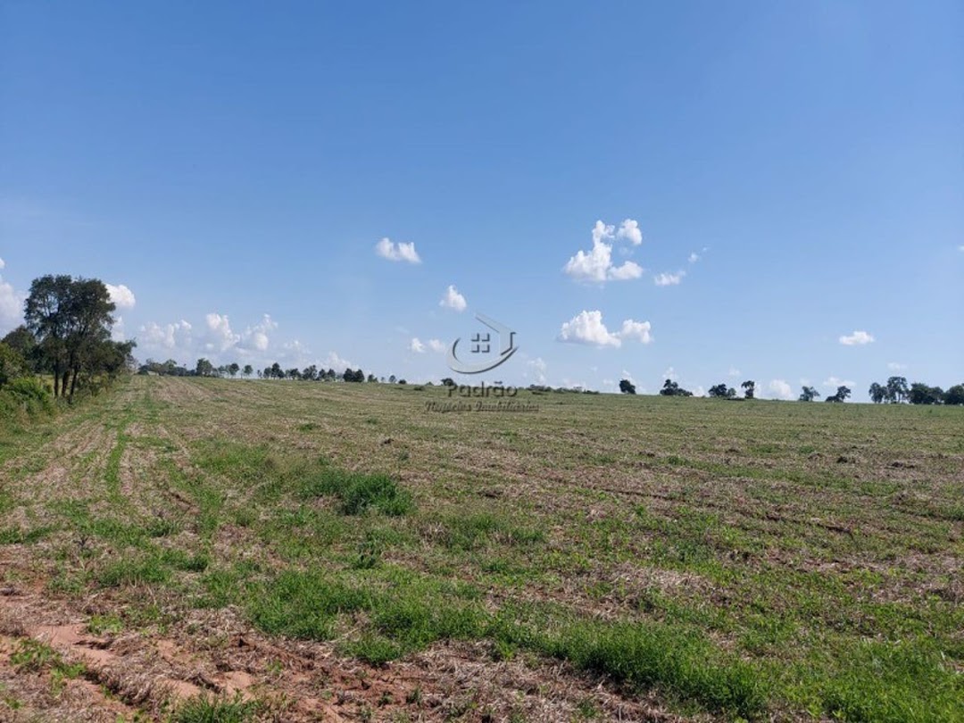 Fazenda à venda com 4 quartos, 1403600M2 - Foto 26