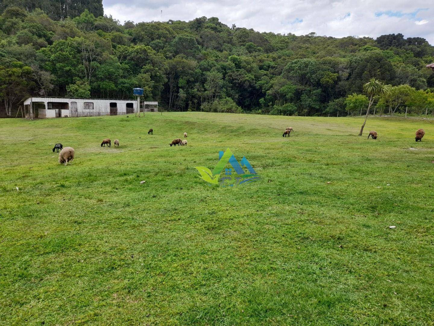 Sítio à venda, 140m² - Foto 21