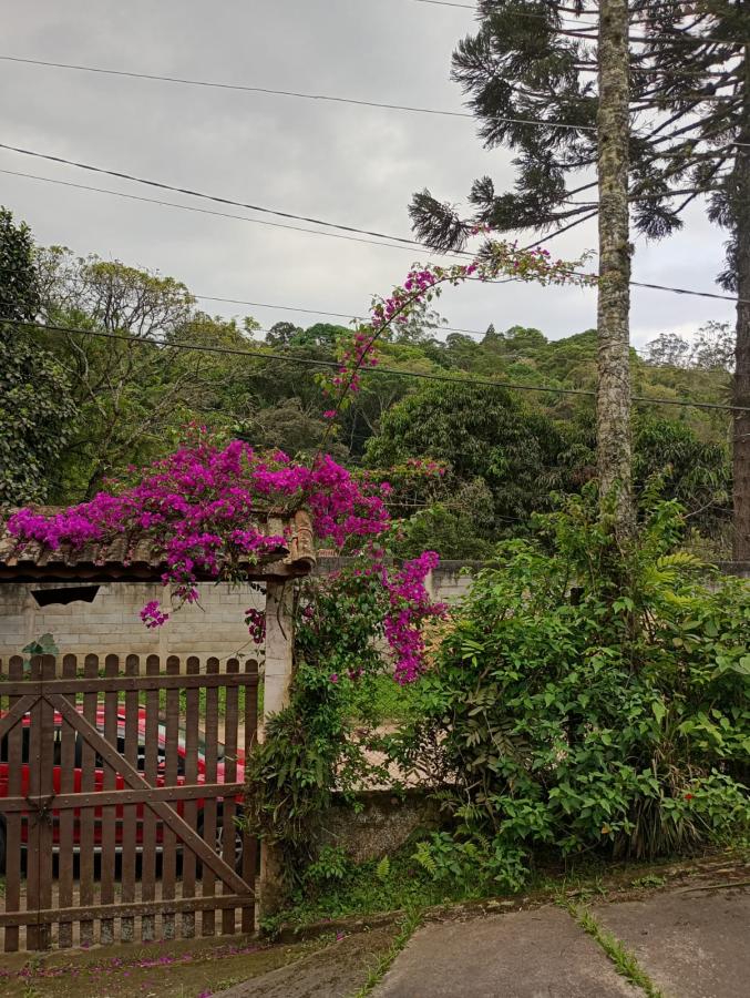 Fazenda à venda com 2 quartos, 2300m² - Foto 6