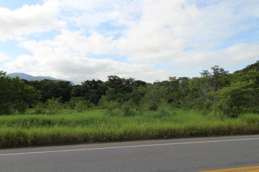 Terreno à venda, 20000m² - Foto 4