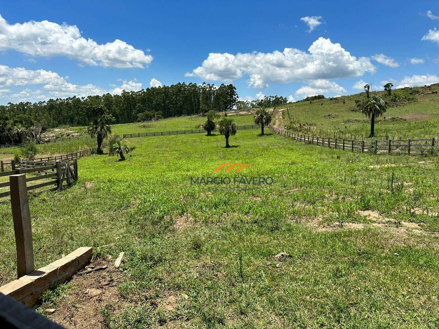 Fazenda à venda, 1065000M2 - Foto 41