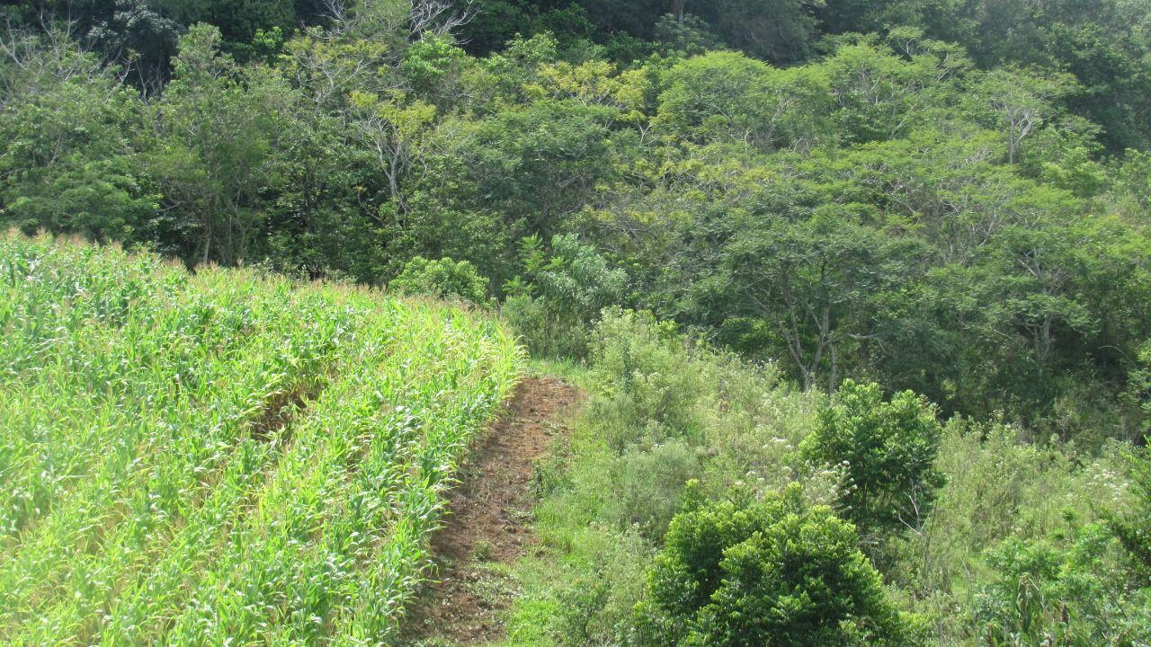 Loteamento e Condomínio à venda, 120000m² - Foto 5