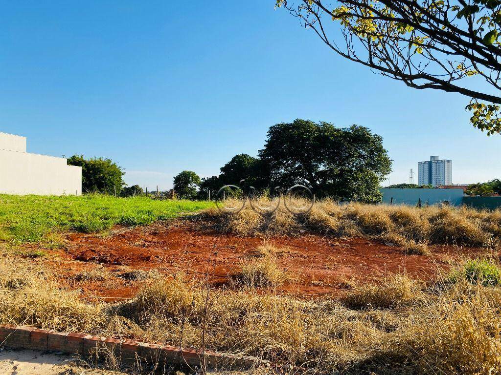 Terreno à venda, 254M2 - Foto 2