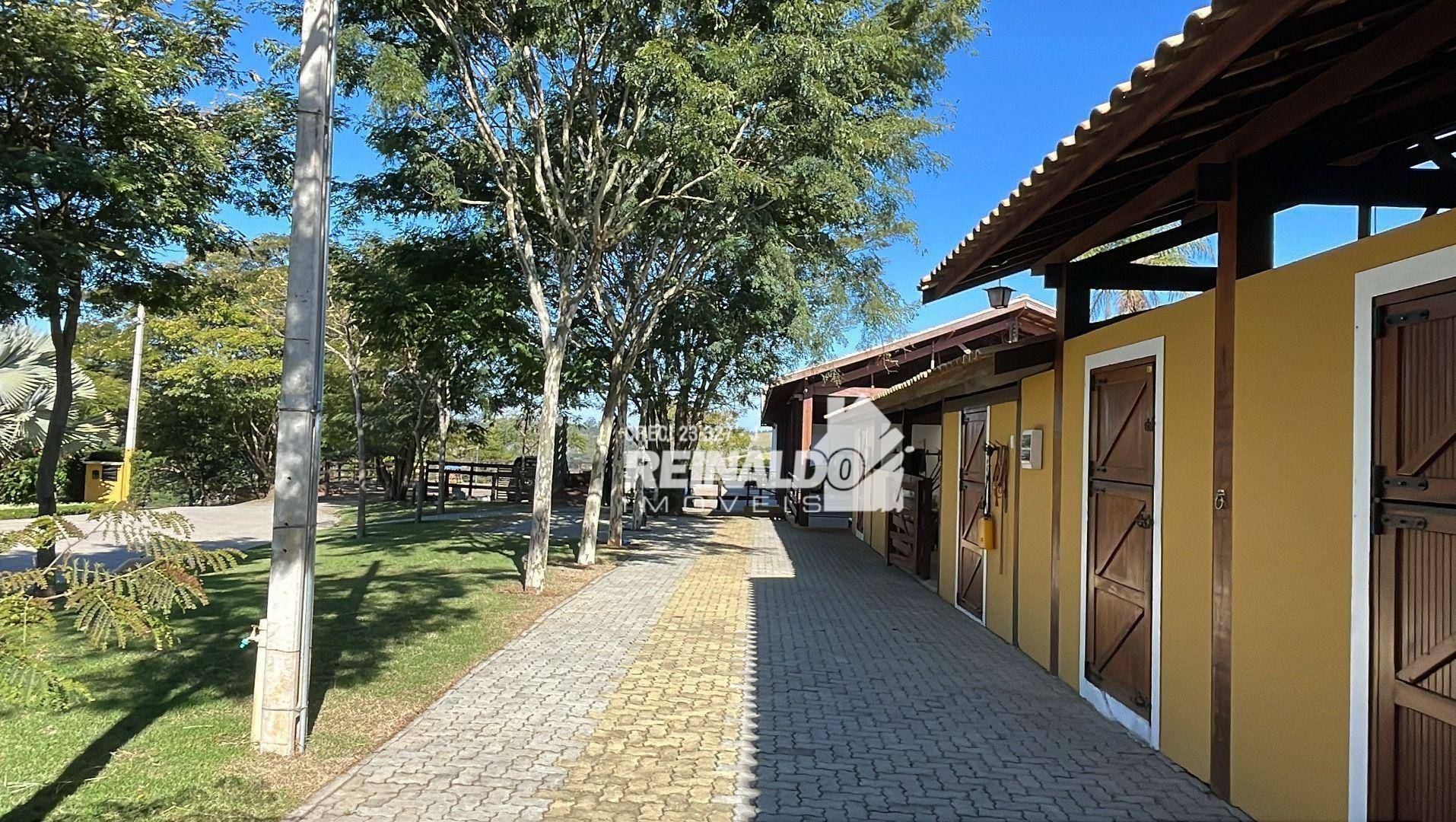 Haras e Área Rural Padrão à venda com 4 quartos, 1050m² - Foto 4