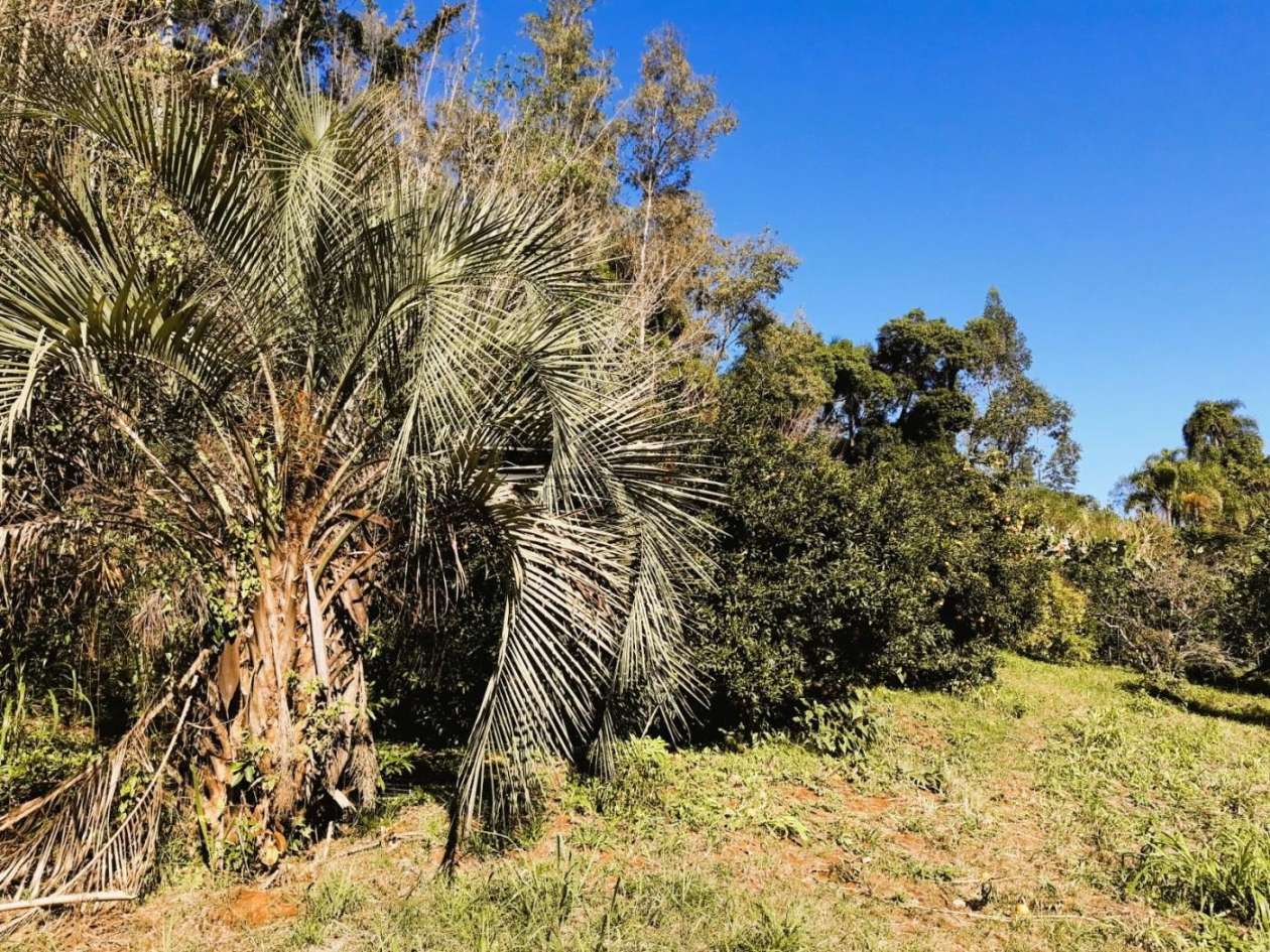 Chácara à venda, 1m² - Foto 6