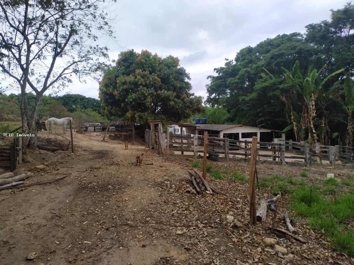 Fazenda à venda com 2 quartos, 9m² - Foto 7