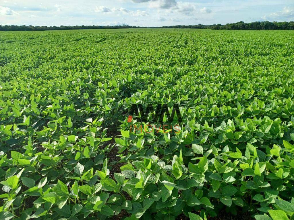 Fazenda à venda, 21538000M2 - Foto 5