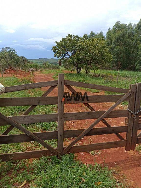 Fazenda à venda, 3963960M2 - Foto 11