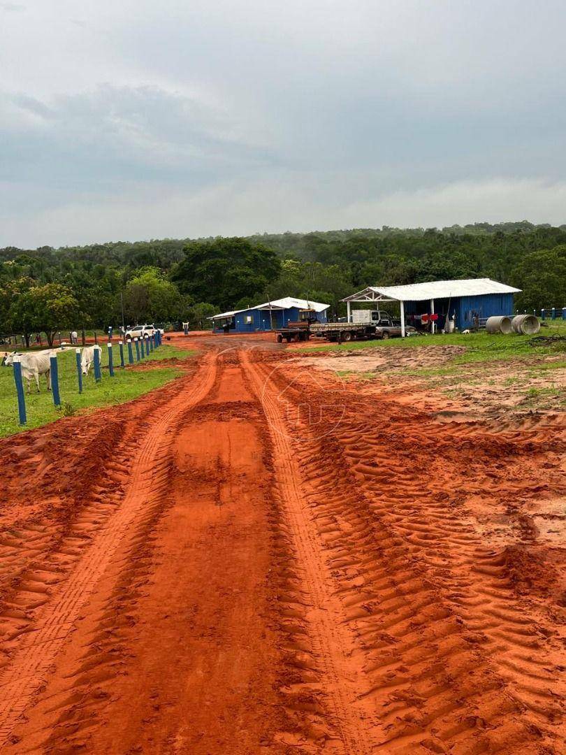 Fazenda à venda, 12000000M2 - Foto 4