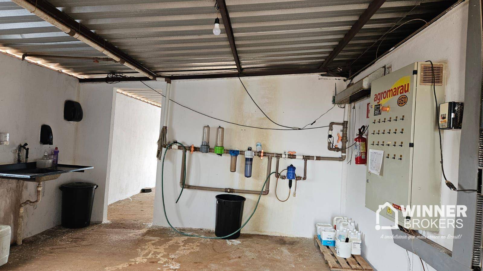 Sítio, 2 quartos, 6 hectares - Foto 4