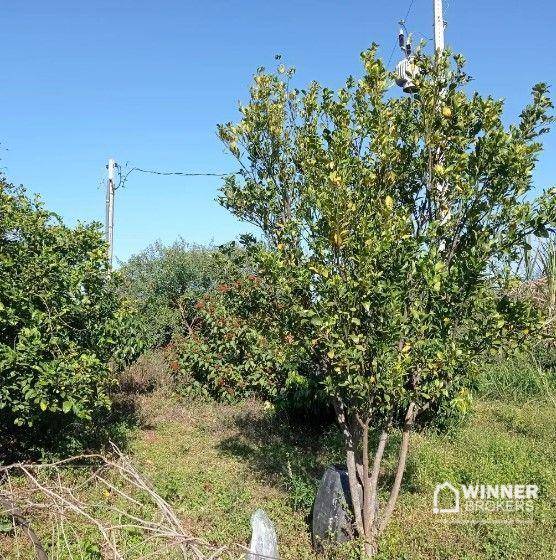 Chácara, 10000 m² - Foto 8