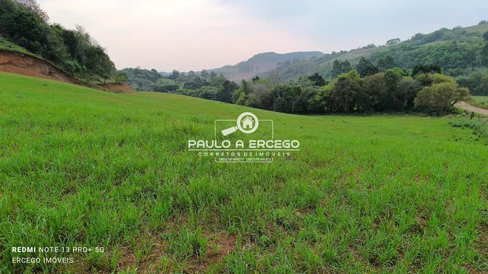 Sítio, 6 hectares - Foto 7