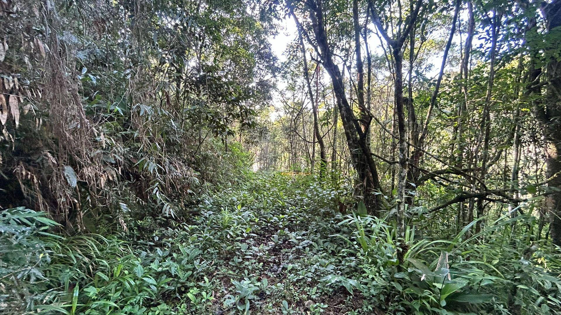 Sítio, 24 m² - Foto 24