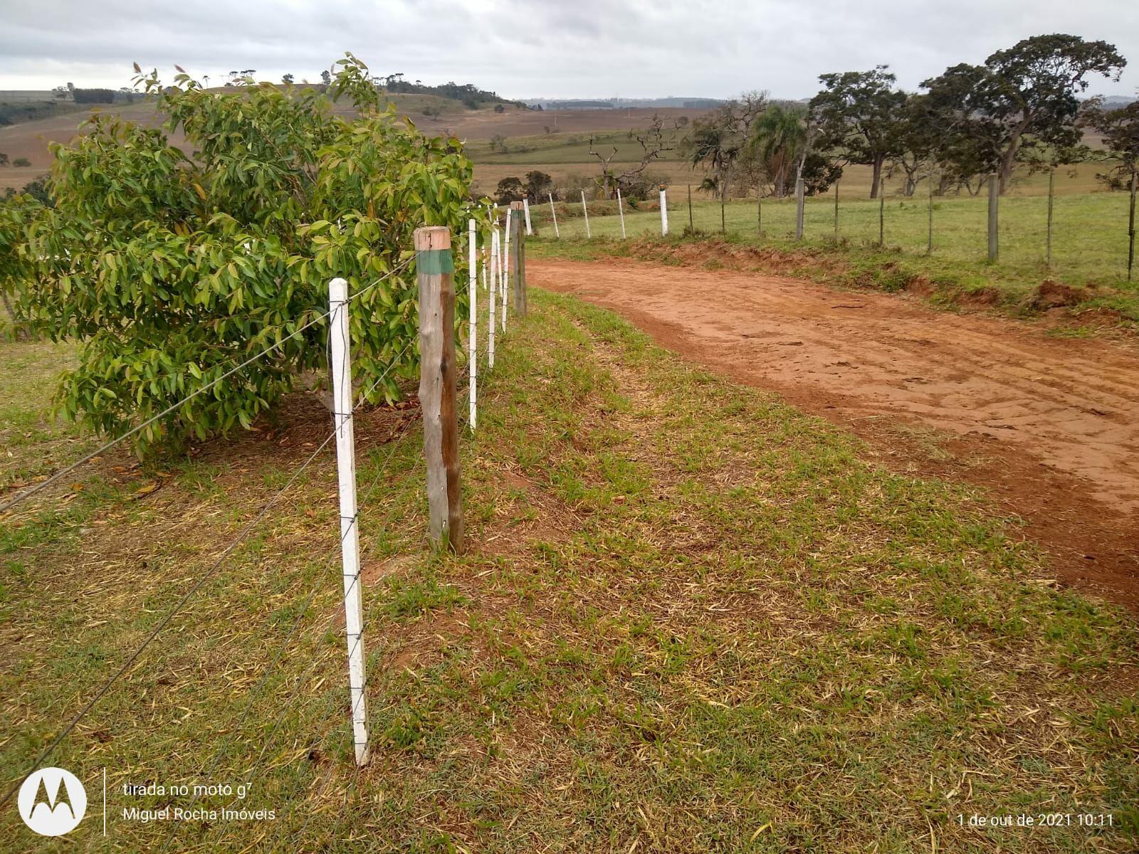 Fazenda à venda com 8 quartos, 3146000m² - Foto 30