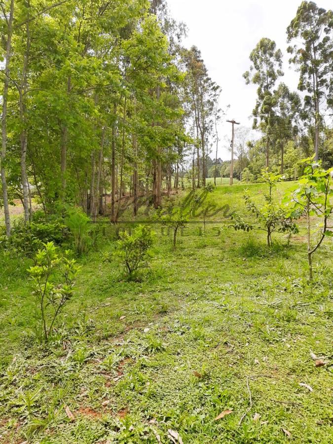 Chácara à venda, 3000m² - Foto 4