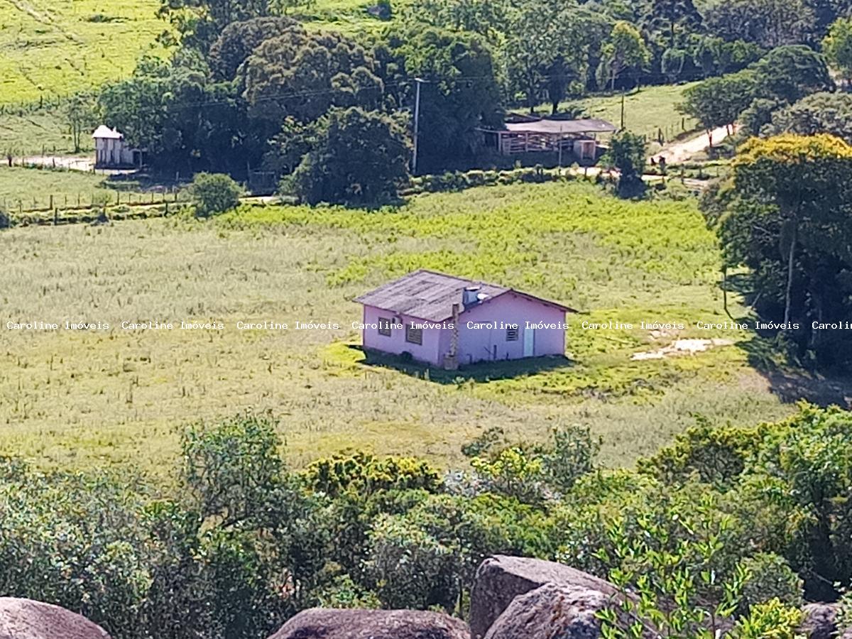 Fazenda-Sítio-Chácara, 7 hectares - Foto 1