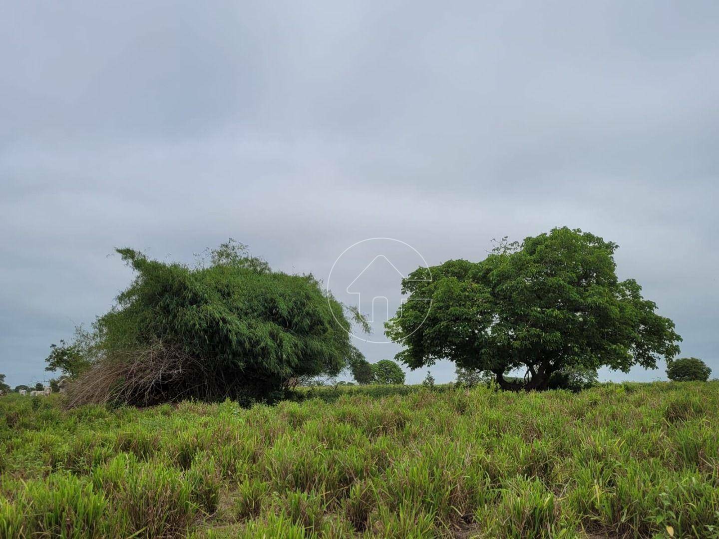 Fazenda à venda, 61350000M2 - Foto 22