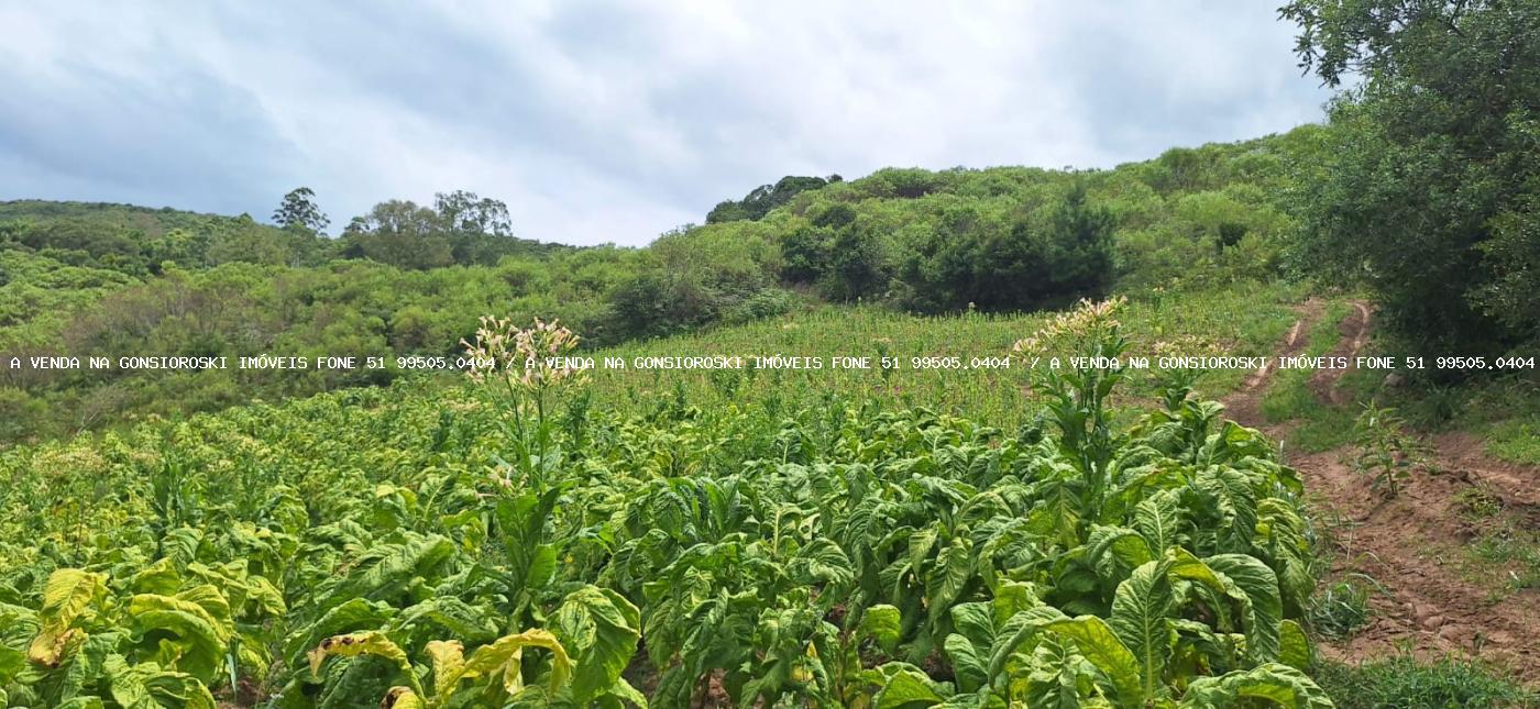 Loteamento e Condomínio à venda, 125000m² - Foto 19