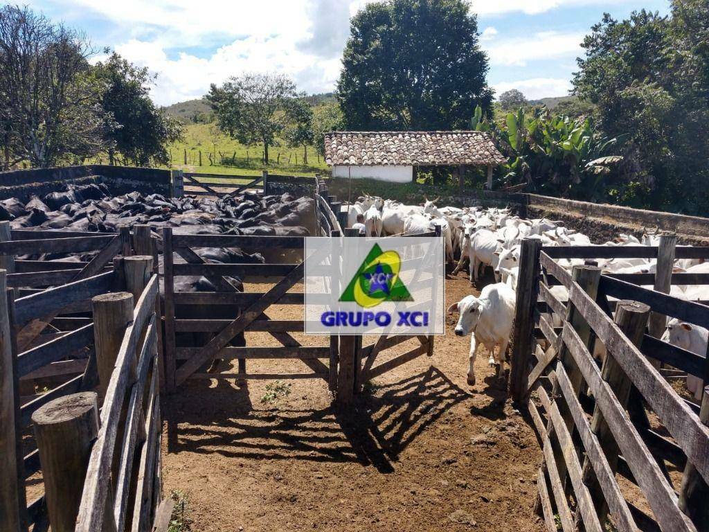Fazenda à venda, 2560000M2 - Foto 29