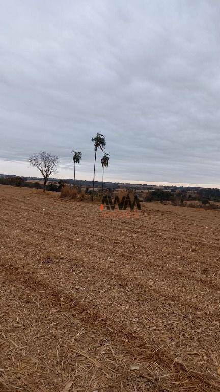 Fazenda à venda, 24901800M2 - Foto 1