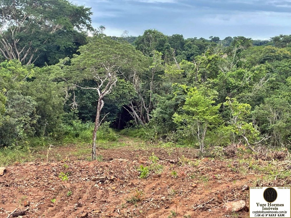 Fazenda à venda com 20 quartos, 3740m² - Foto 15