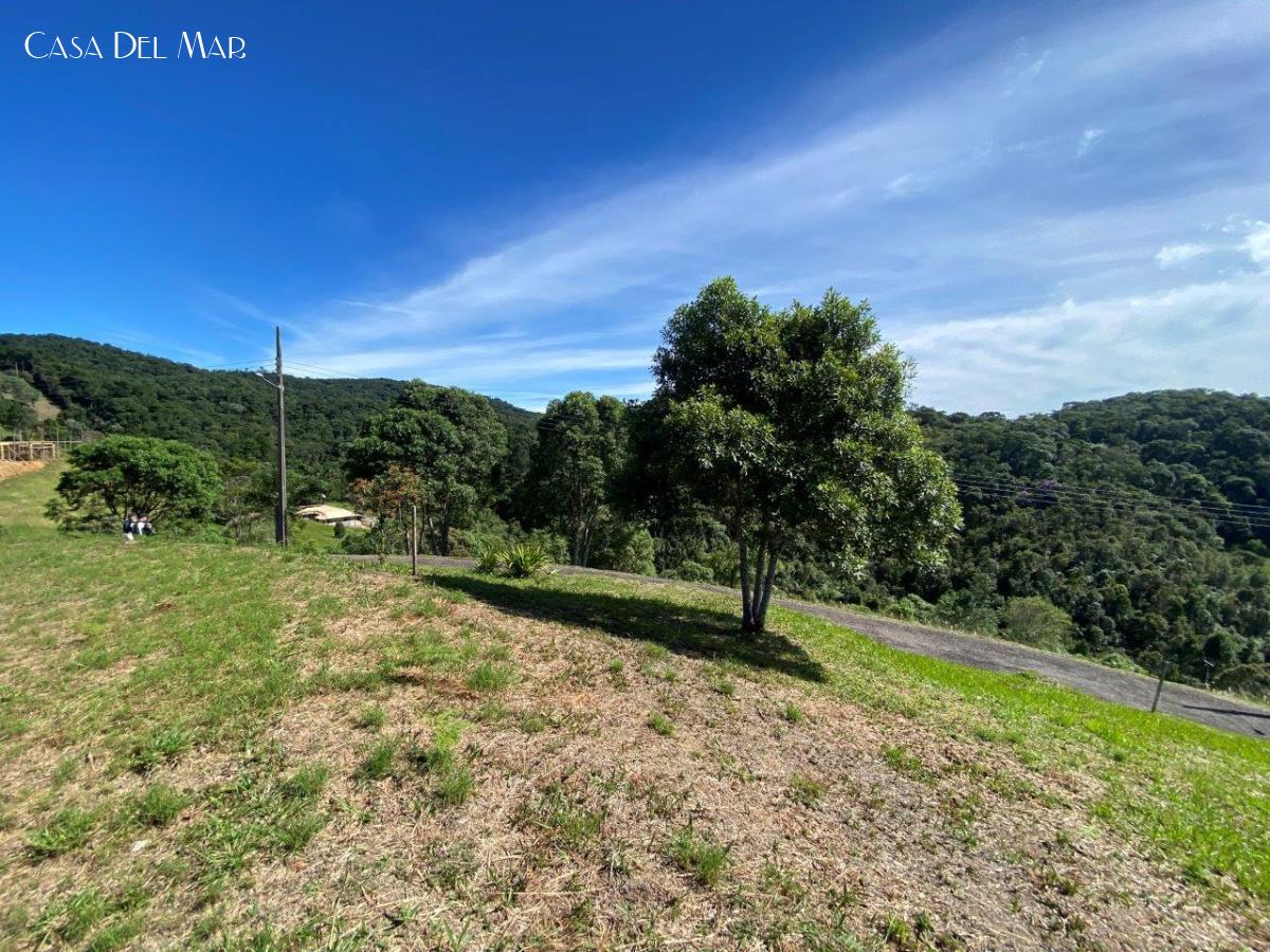 Terreno à venda, 1636m² - Foto 3