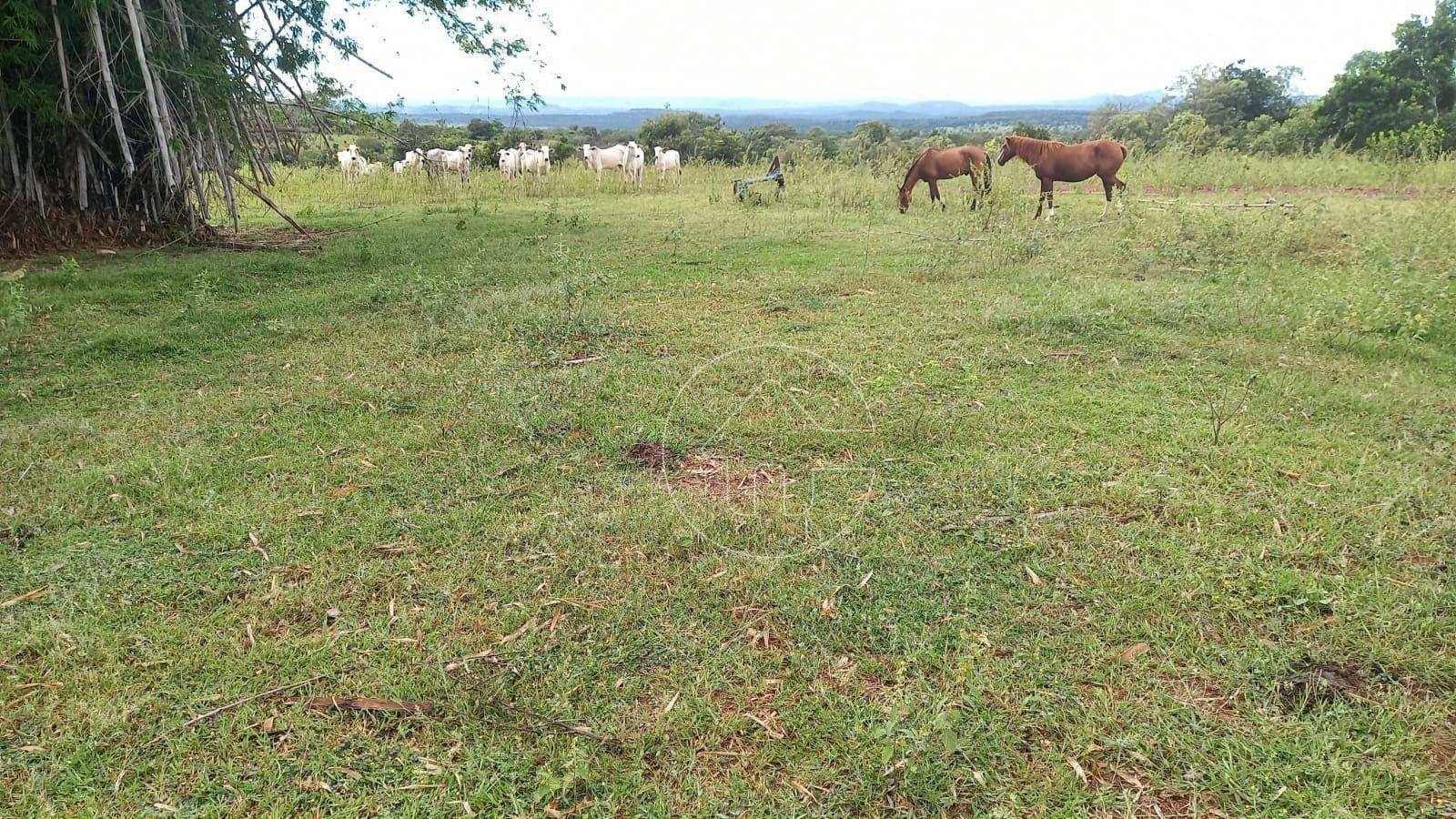 Fazenda à venda, 32000000M2 - Foto 6