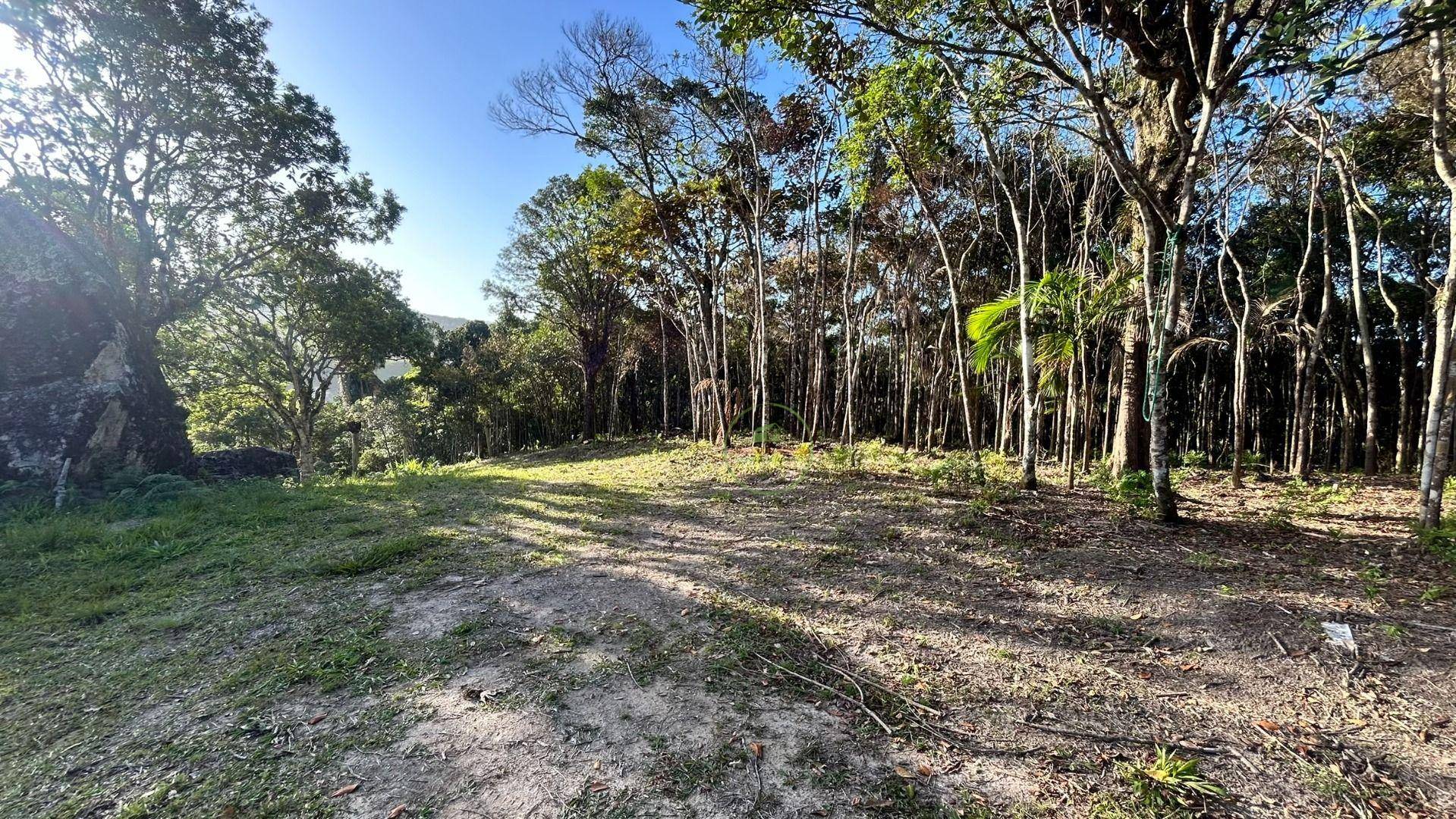 Terreno, 7700 m² - Foto 4