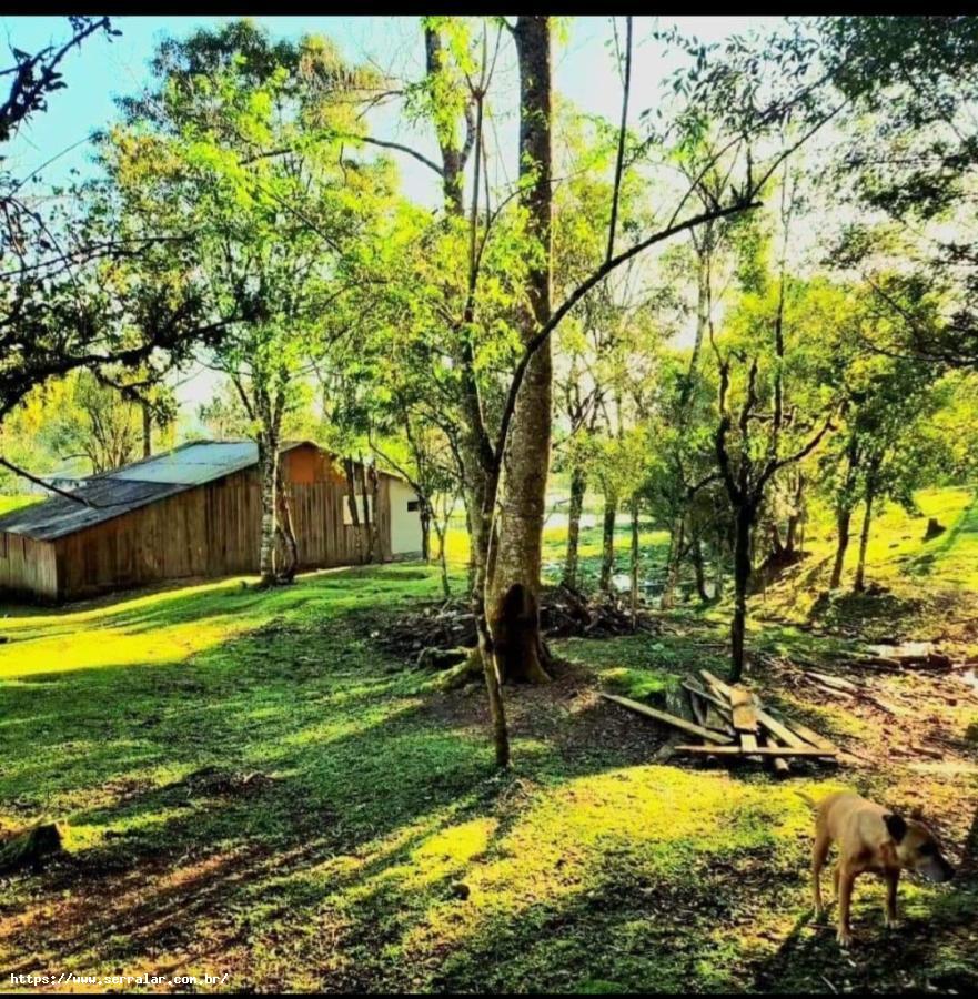 Fazenda à venda, 1m² - Foto 4