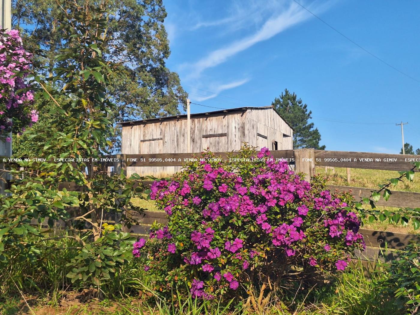 Fazenda à venda com 4 quartos, 80000m² - Foto 20