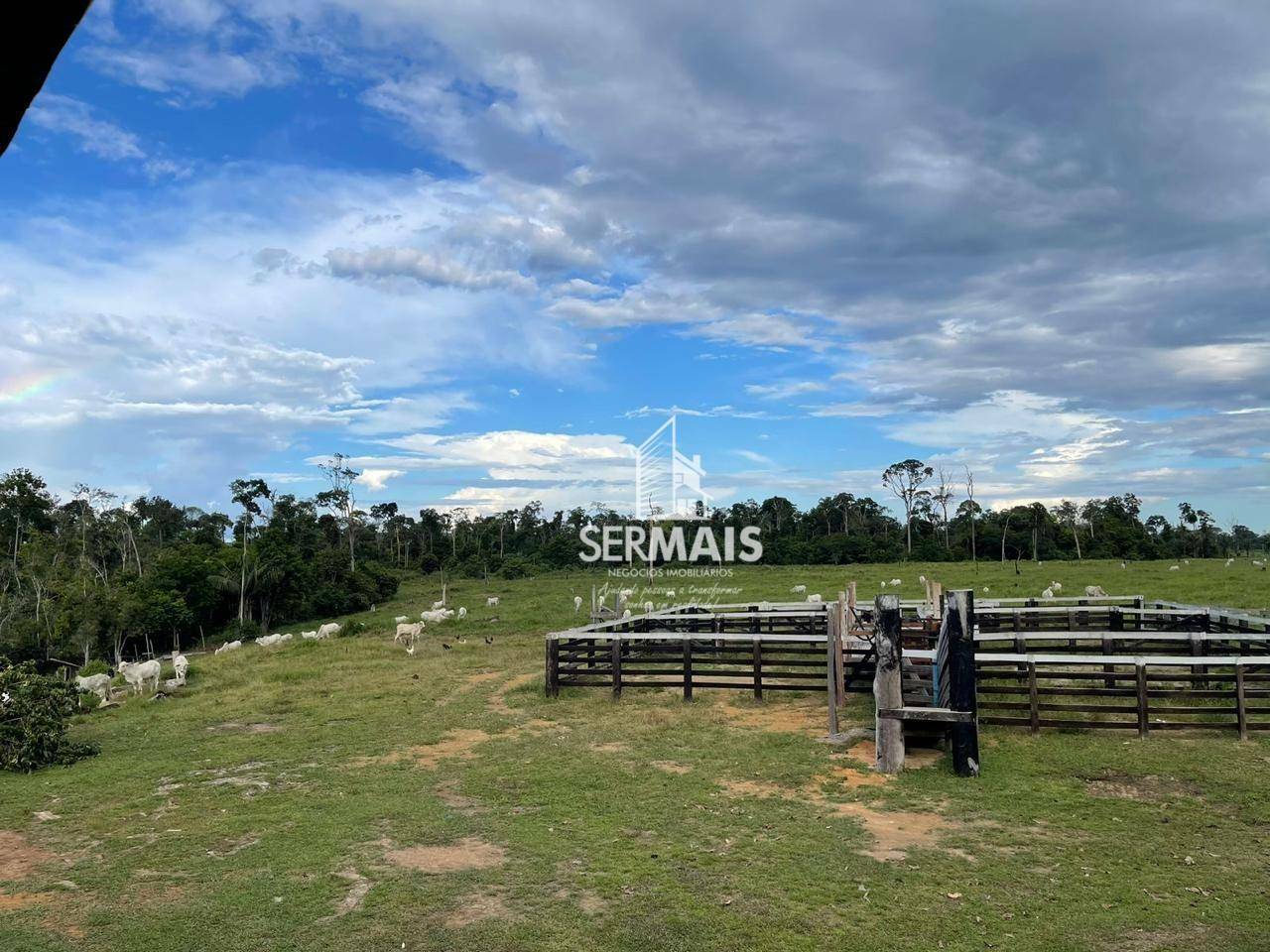 Fazenda à venda, 252M2 - Foto 6