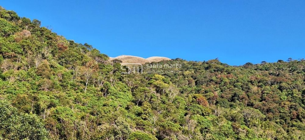 Fazenda à venda com 3 quartos, 64m² - Foto 26