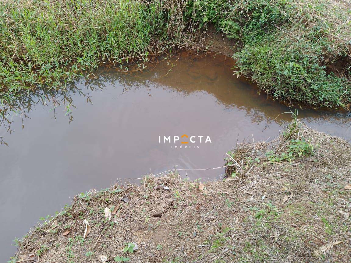 Chácara à venda com 2 quartos, 4000M2 - Foto 21