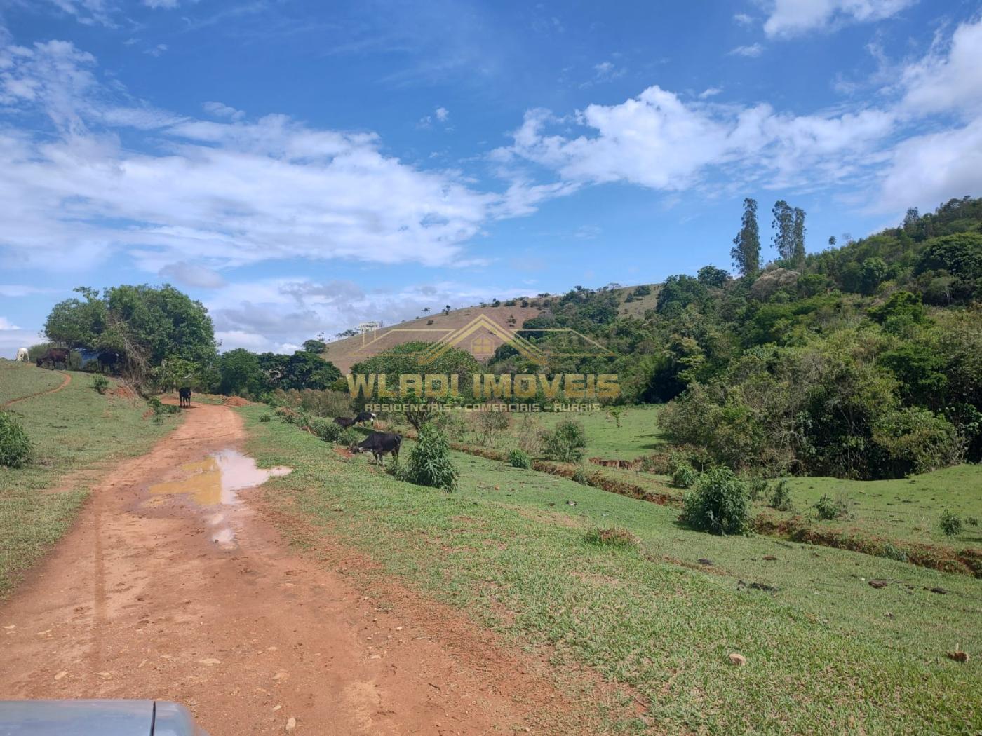 Fazenda à venda, 10m² - Foto 6