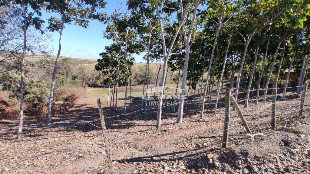 Sítio, 9 quartos, 2 hectares - Foto 44