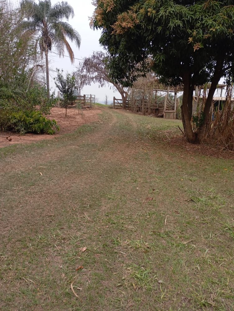 Chácara, 2 hectares - Foto 3