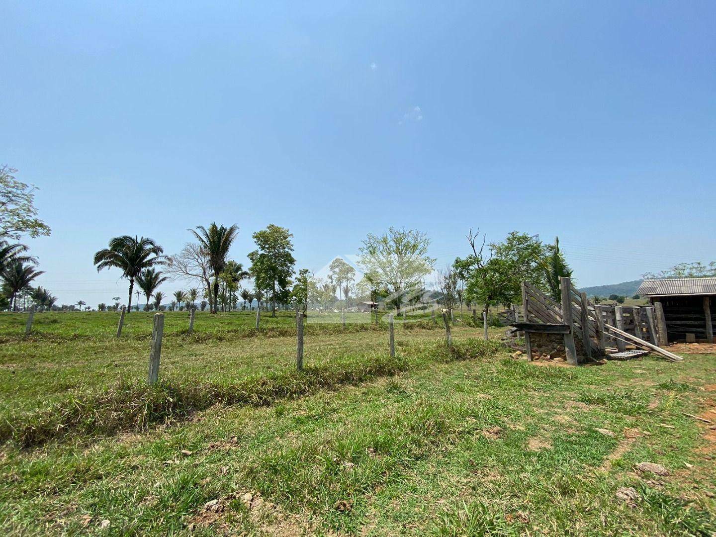 Fazenda à venda com 3 quartos, 2420000M2 - Foto 12