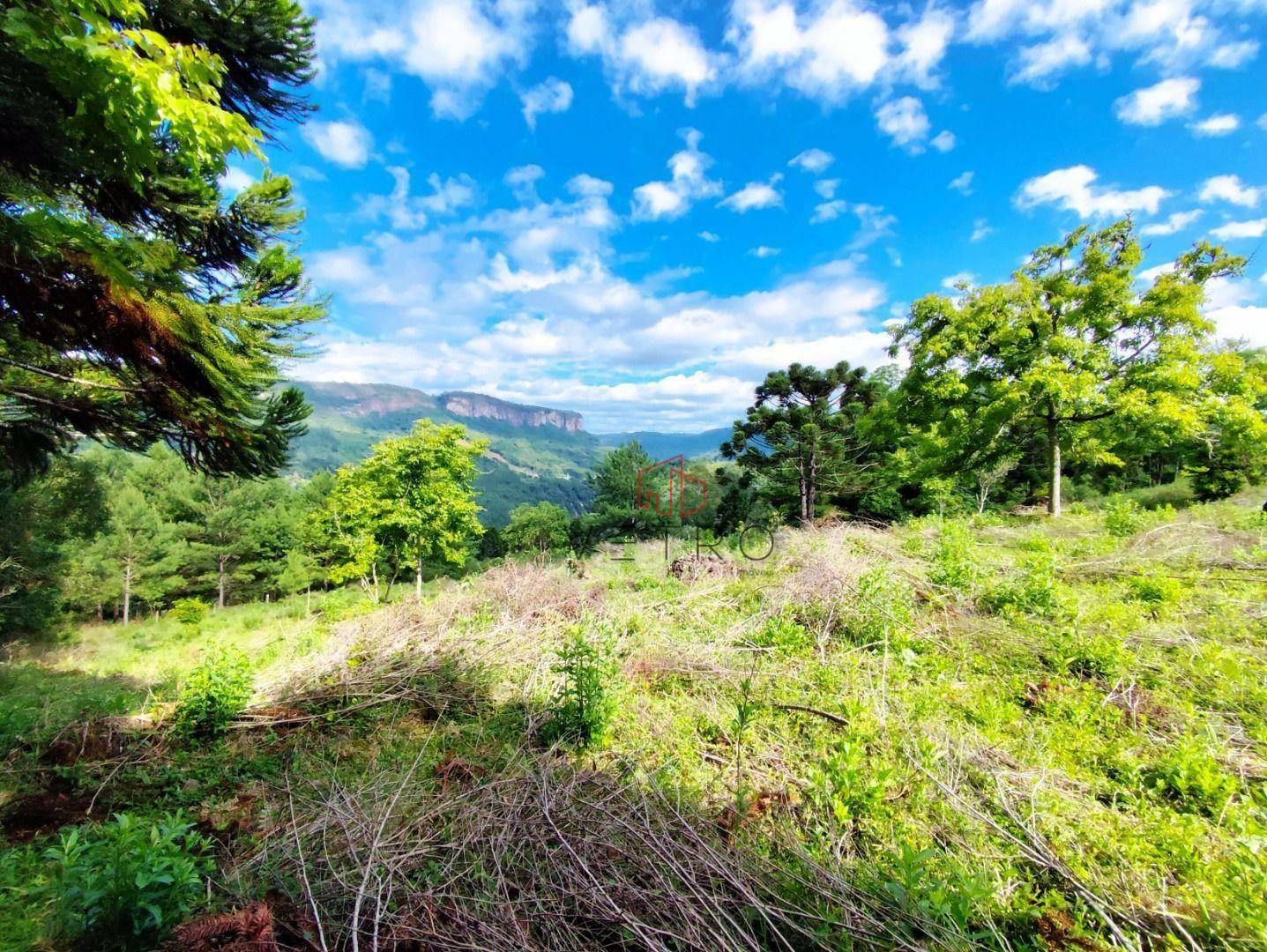 Sítio à venda, 146751M2 - Foto 3