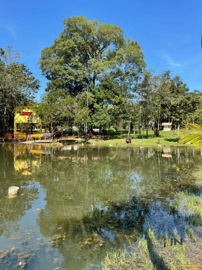 Chácara à venda com 6 quartos, 72600M2 - Foto 28