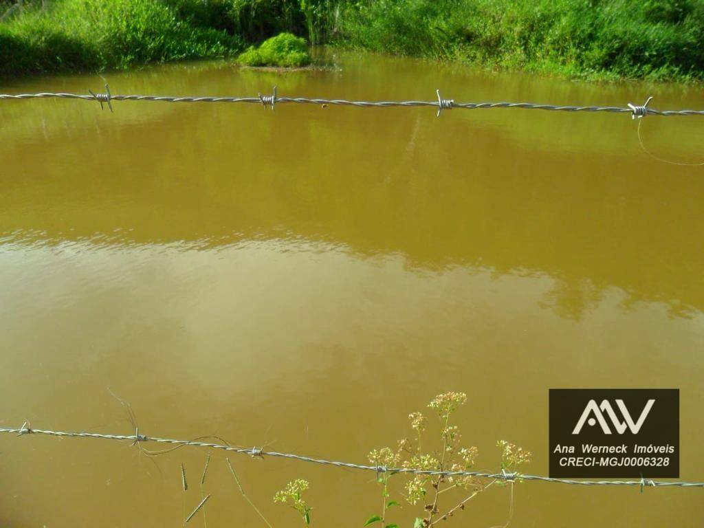 Chácara à venda com 5 quartos, 170000M2 - Foto 5